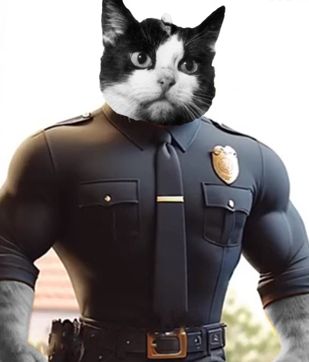 SCAT_Scroll's tweet image. 👋 @Scroll_ZKP