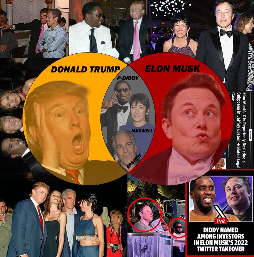 Elon Musk and Donald Trump don’t want you to retweet this Venn diagram