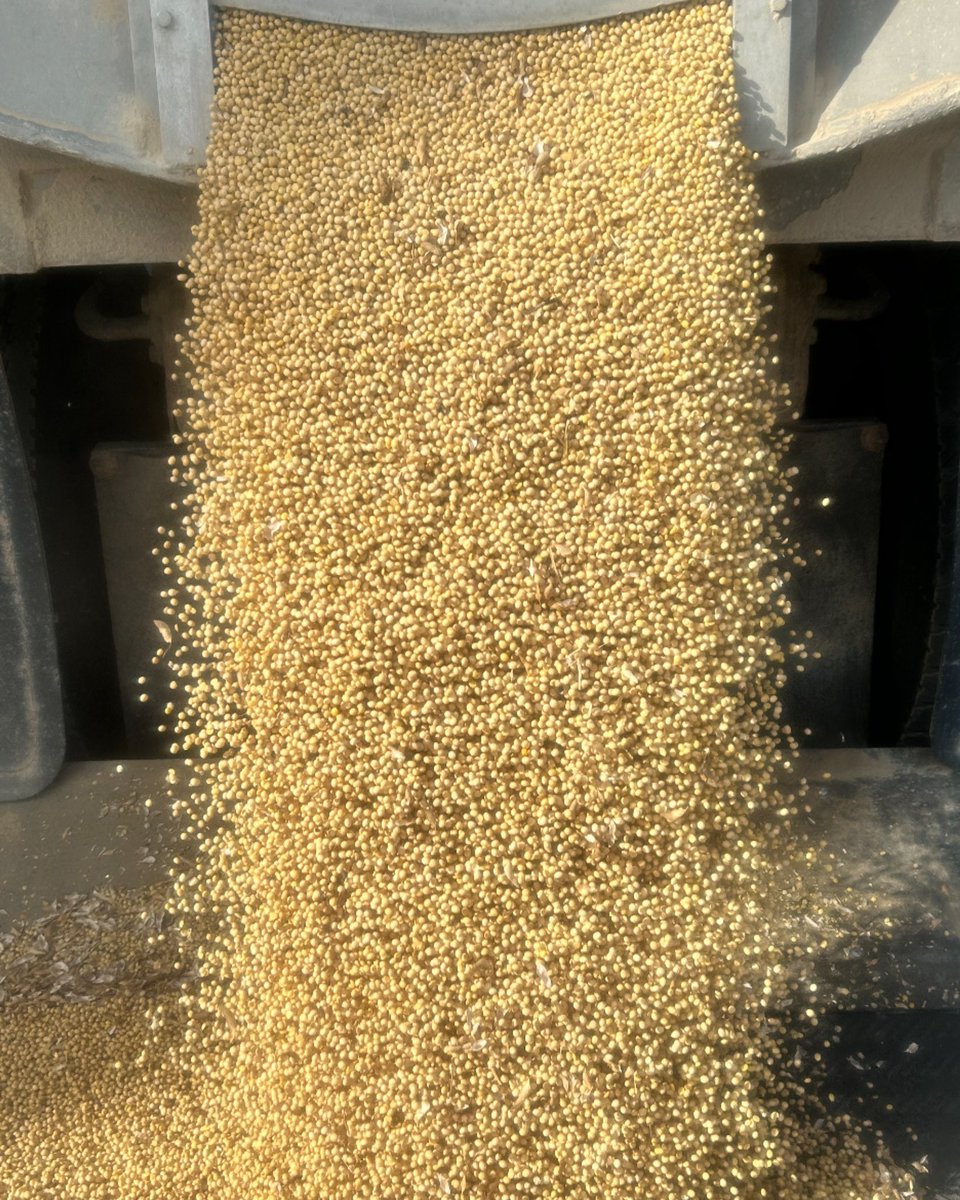Bowling Green Farms tweet media