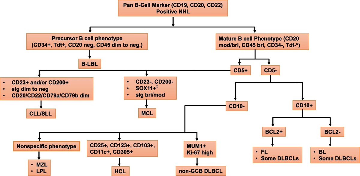 Immunophenotyping-based Approach in Mature B-cell Lymphomas 🔬
jenci.springeropen.com/articles/10.11…