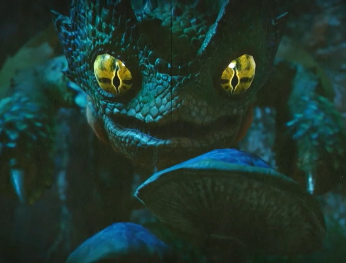 7 year olds staring at their moldy lunchly cheese