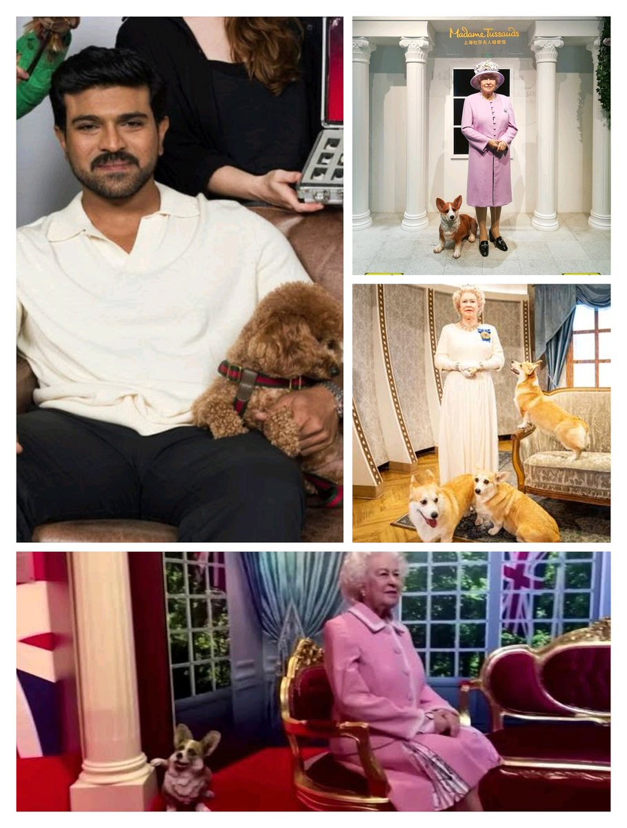 MovieMaxINDIA's tweet photo. #Gamechanger #RamCharan @AlwaysRamCharan 

After queen Elizabeth,

Ram Charan is the only person in the entire Globe whose Wax statue is presented with his pet..

Global Star ⭐ indeed. https://t.co/JtRMtox5P4