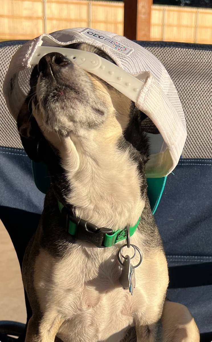 Sam Miller, Ph.D. tweet media