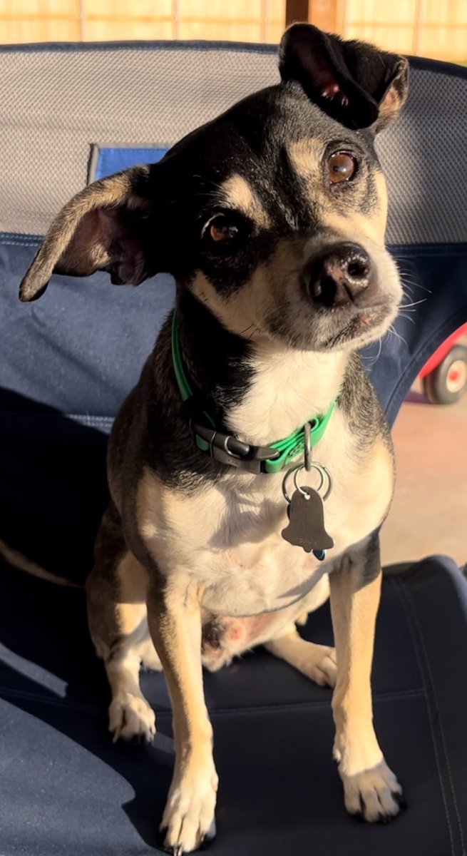 Sam Miller, Ph.D. tweet media