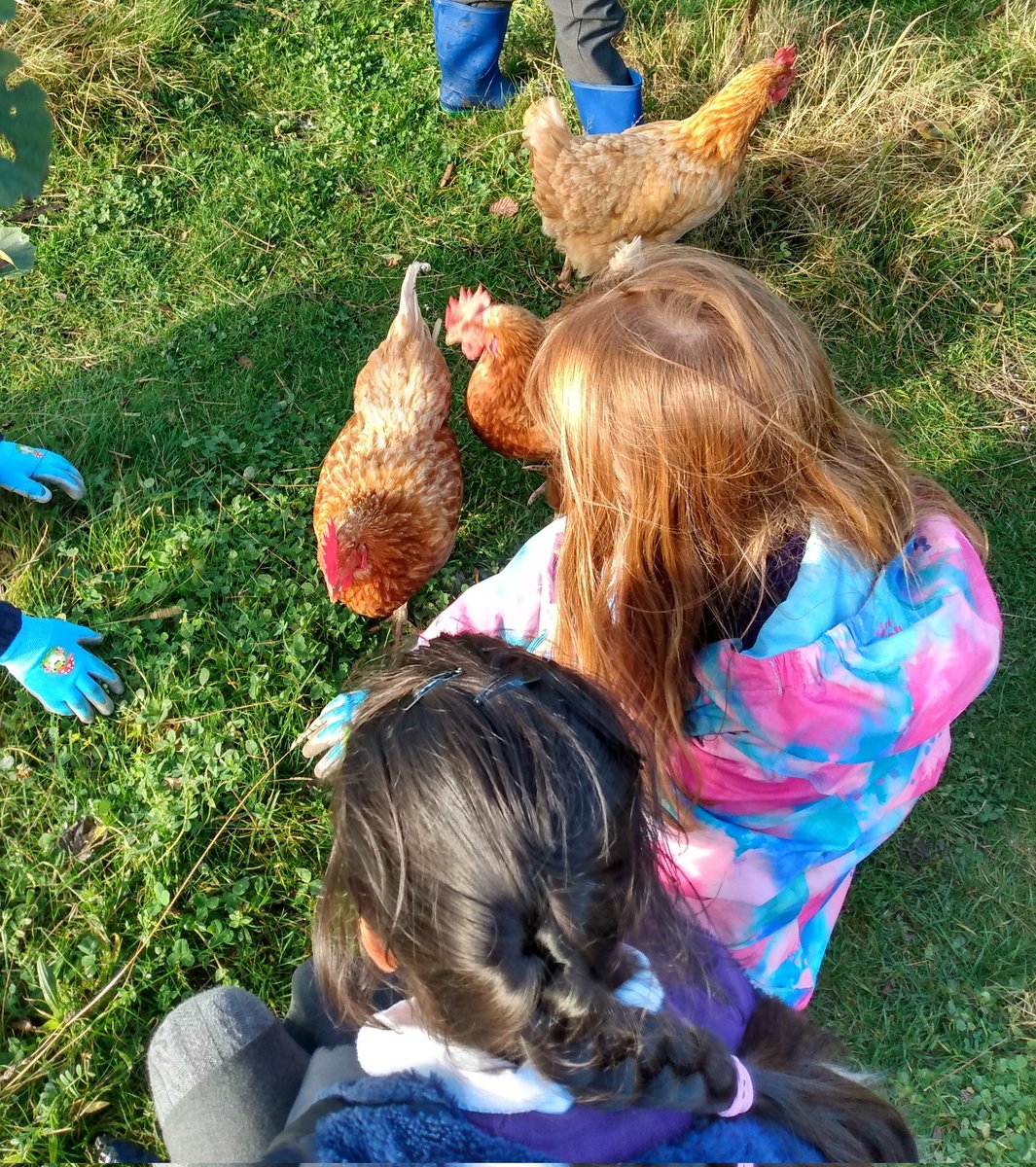 Exploring the grounds and pond area, planting daffodil bulbs, feeding worms to the chickens <a href="/FrogstonFarm/">Frogston Farm to Fork</a> <a href="/FrogstonPS/">FrogstonPS</a> <a href="/LfSScotland/">Learning for Sustainability Scotland</a> <a href="/EdSust/">UoE Sustainability</a> #nature #outdoorlearning #outdoorplay #environmentalstewardship #outdoors #Sustainability #getoutdoors #getoutside #natureconnection