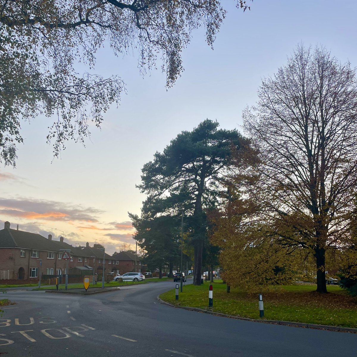 cgkwilson's tweet image. Only 2 days left til our polling day in the Old Dean! Another one of many canvassing sessions this evening - with a great sunset and even better responses, from vocal &amp;amp; deserving residents. Bring on Thursday! 🌹