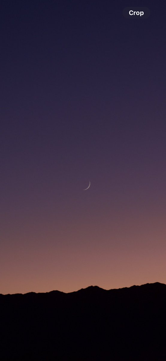 Anton Ptushkin tweet media