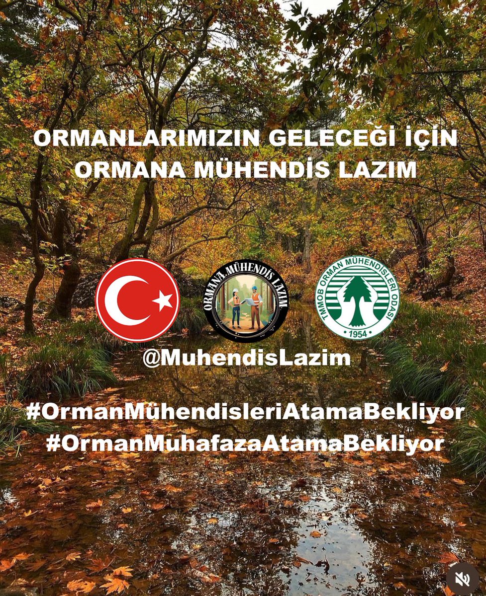#OrmanaMühendisLazım

Biz her daim sahada mücadele etmeye devam edecez. Amacımız daha yeşil bir vatan. #YeşilVatanSavunması 
#OrmanMühendisleriAtamaBekliyor