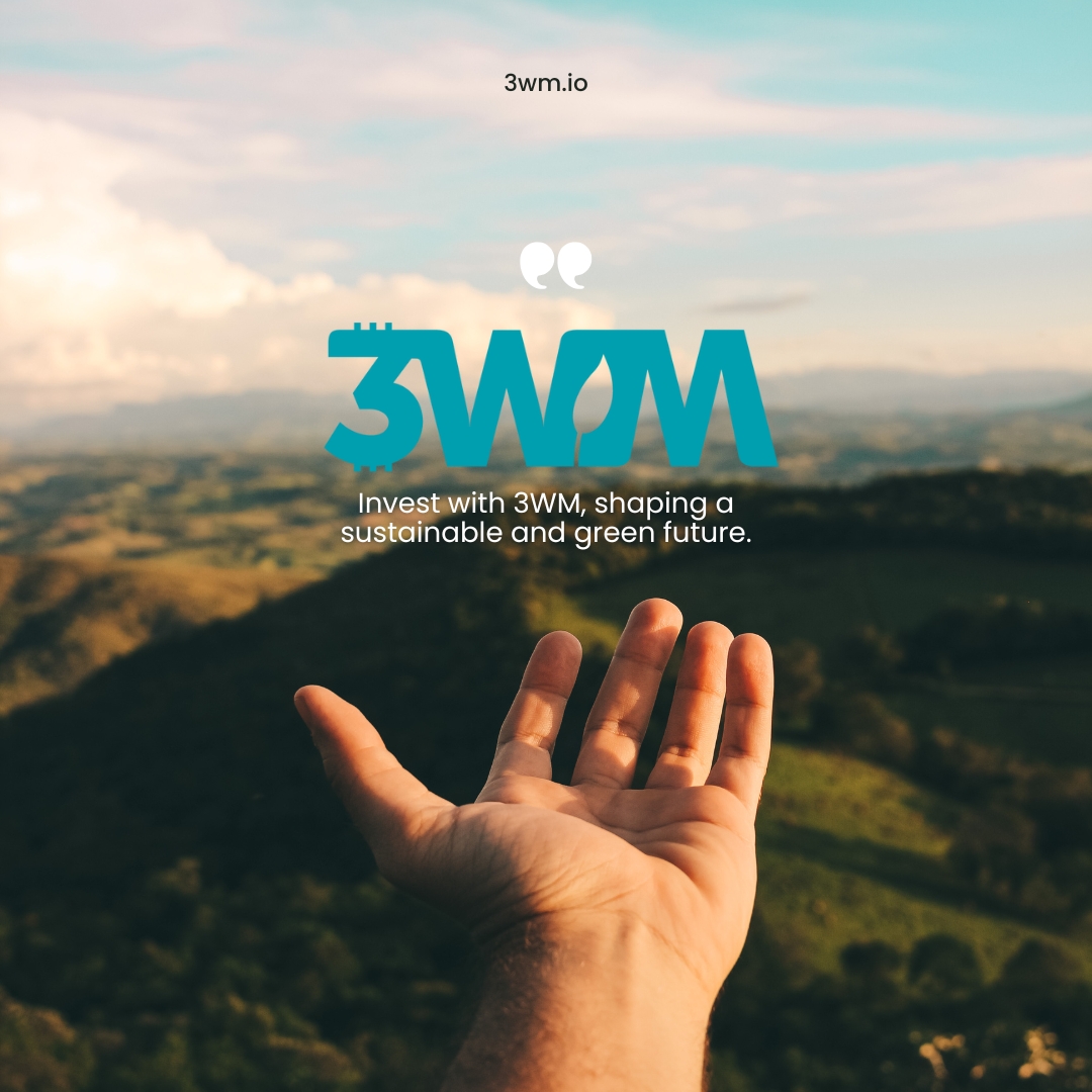 3WM Group tweet media