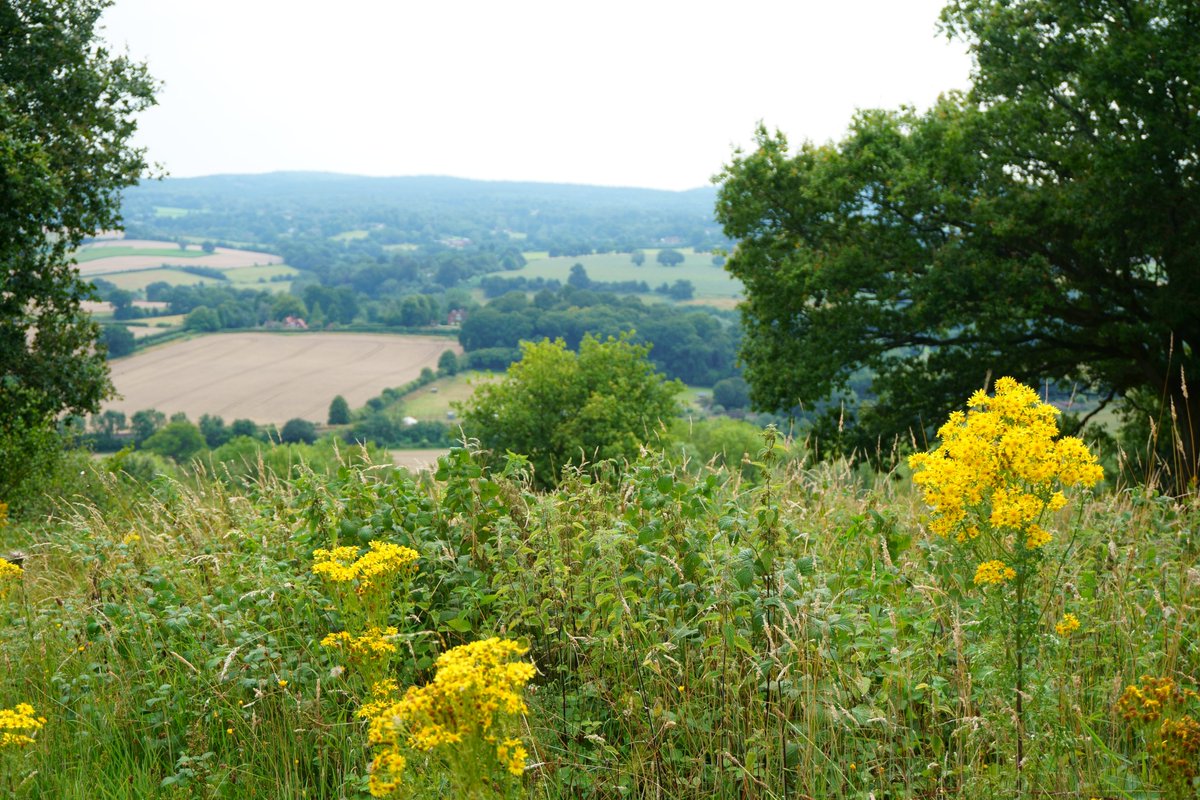 DICE Kent (@dice_kent) on Twitter photo 🚨JOB ALERT🚨
We are advertising for an Innovation Fellow in Conservation Science on our 5-year <a href="/UKRI_News/">UK Research and Innovation</a> E3 'Sharing Space for Nature' project.
Project: kent.ac.uk/durrell-instit…
Advert: jobs.kent.ac.uk/Vacancy.aspx?i…
Deadline: 06/11/24 🚨JOB ALERT🚨
We are advertising for an Innovation Fellow in Conservation Science on our 5-year <a href="/UKRI_News/">UK Research and Innovation</a> E3 'Sharing Space for Nature' project.
Project: kent.ac.uk/durrell-instit…
Advert: jobs.kent.ac.uk/Vacancy.aspx?i…
Deadline: 06/11/24