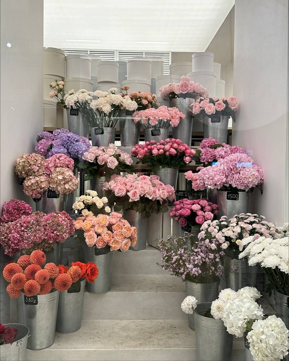 ❀ (@i3moment) on Twitter photo 