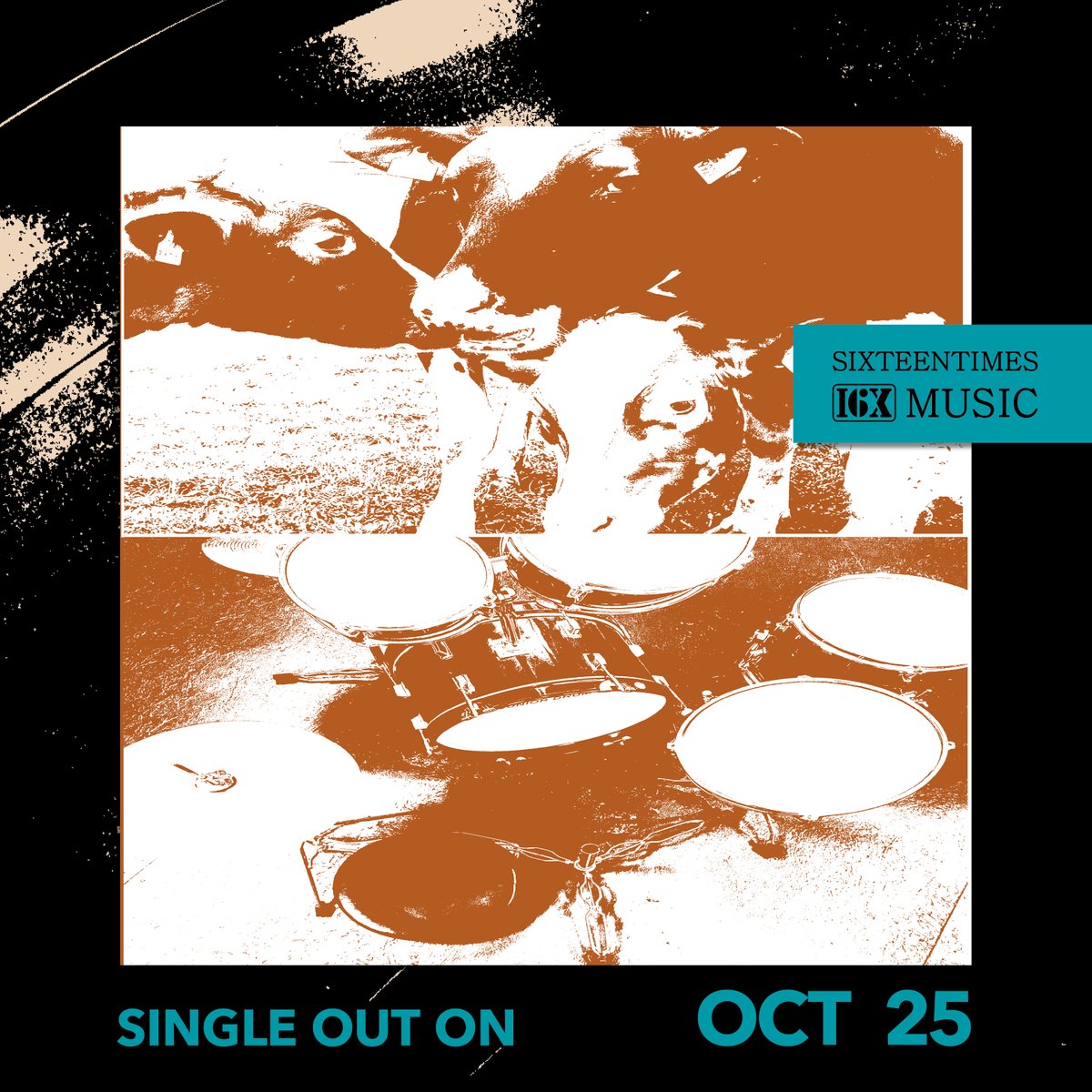 L‘Arbre Bizarre releasing B.S.F. this friday. The #noise and #posthardcore song comes with a pounding rhythm and finely woven melodies and laments the false promises and hypocrisy of charismatic narcissists.
#newmusic #sixtm