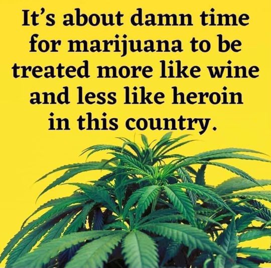 This so needs to happen. It’s an absolute disgrace! #Cannabis #LegalizeIt #CannabisCommunity #Mmemberville