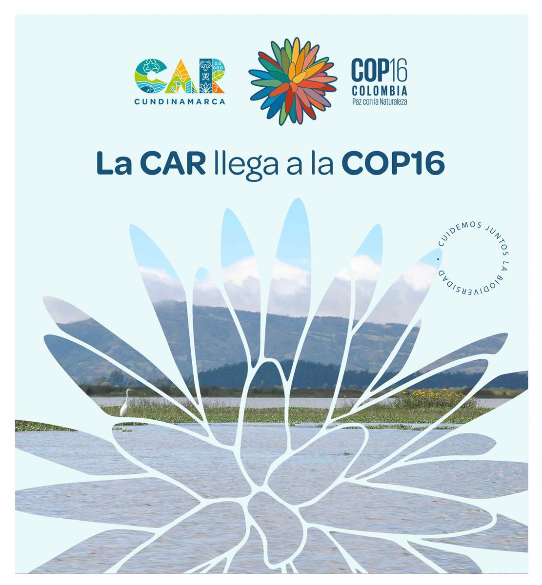 ¿Estás en la #COP16Colombia? En el hilo🧵 está la agenda para hoy, 22 de octubre. En la Zona Azul la Laguna de Fúquene y nuestros páramos serán tema de conversación, y en la Zona Verde hablaremos de gestión del riesgo. ¡También podrás visitar los Negocios Verdes CAR!

#CAResCOP16