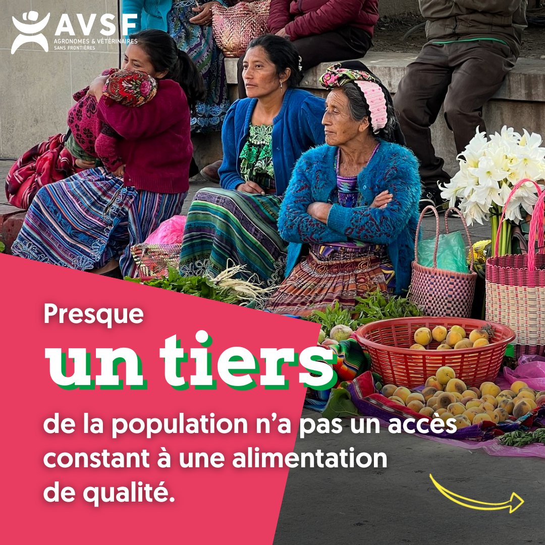 Agronomes & Vétérinaires Sans Frontières tweet media