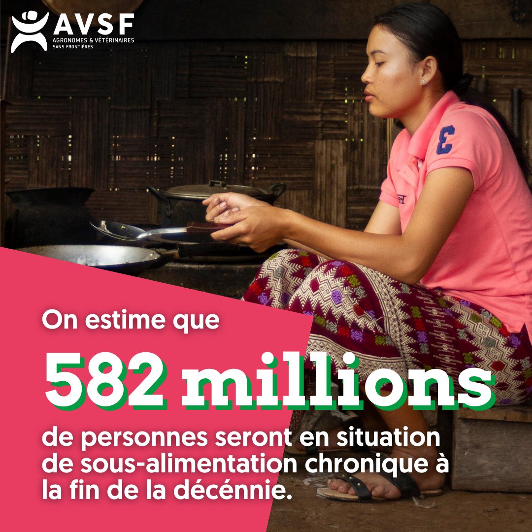 Hier lors de la journée d’ouverture du #CSA le rapport SOFI a été présenté
⚠️ Les conclusions sont plus qu’inquiétantes : malgré quelques progrès, le monde est revenu en arrière, les niveaux de sous-alimentation sont comparables à ceux de 2008-2009