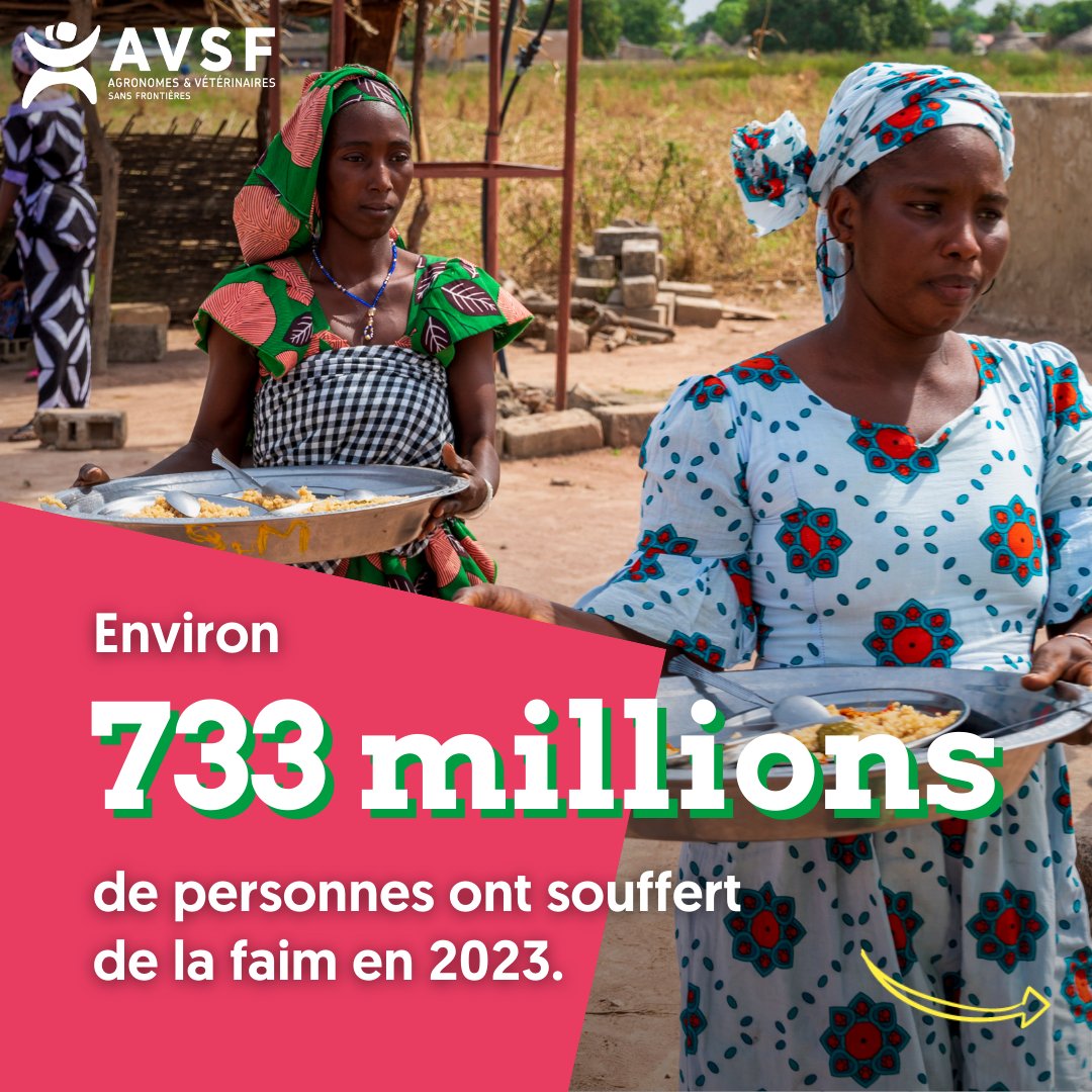 Agronomes & Vétérinaires Sans Frontières tweet media