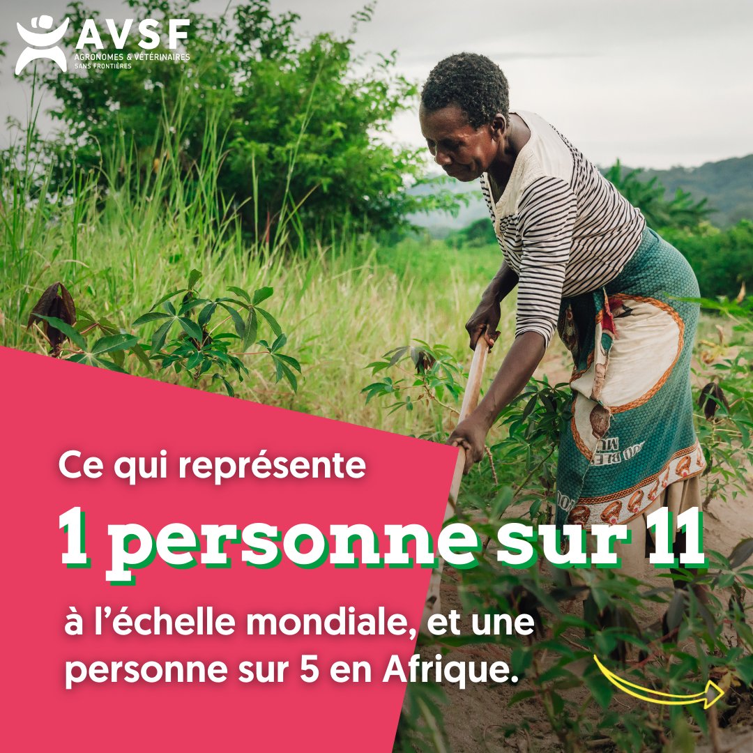Agronomes & Vétérinaires Sans Frontières tweet media