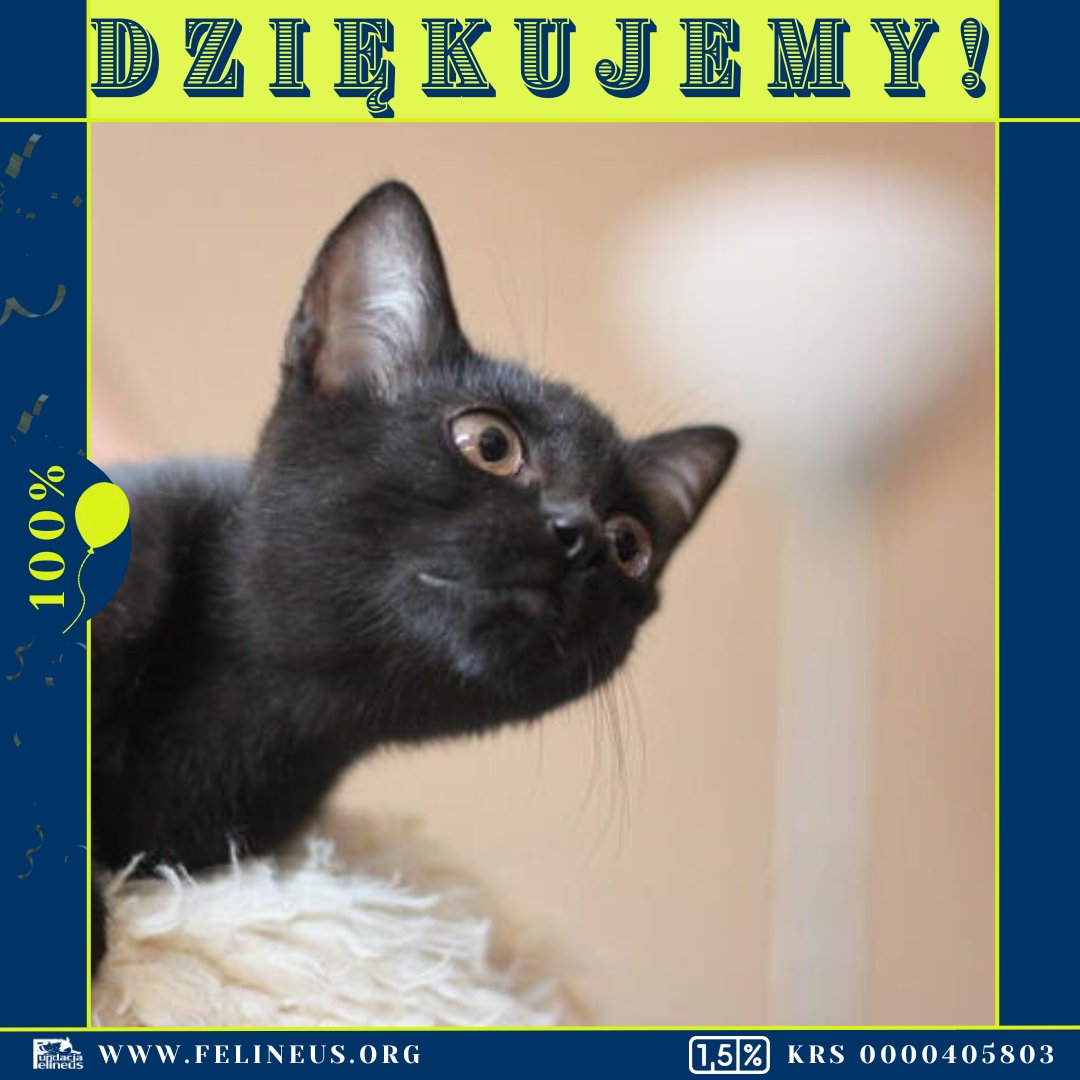 W imieniu naszych podrzutków dziękujemy za wsparcie. Jedna z kotek jest już w swoim nowym domu. Pozostałe czekają na adopcję z nadzieją w oczach wypatrując swojego człowieka.

Dla przypomnienia historii podsyłamy link:
ratujemyzwierzaki.pl/czarne-podrzut…

@DLiczbinska
<a href="/EleEle87159523/">Ele Ele</a>