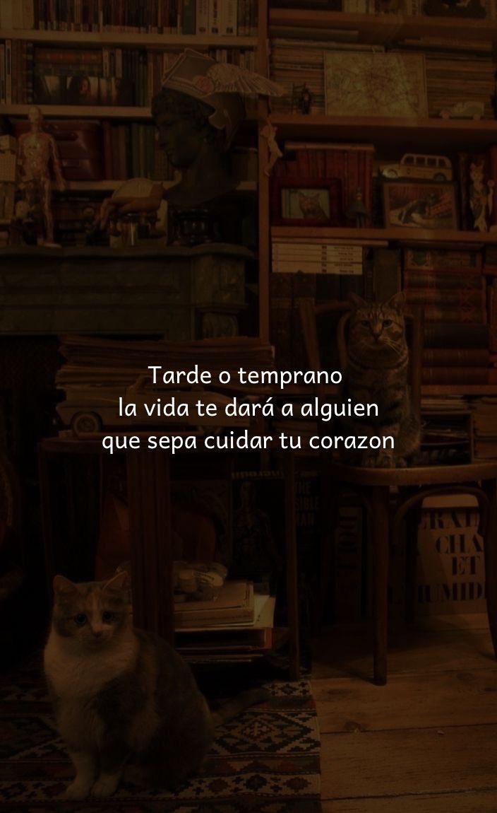 🌙 mini textos tweet media