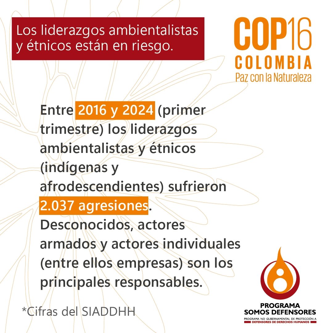 Programa Somos Defensores tweet media