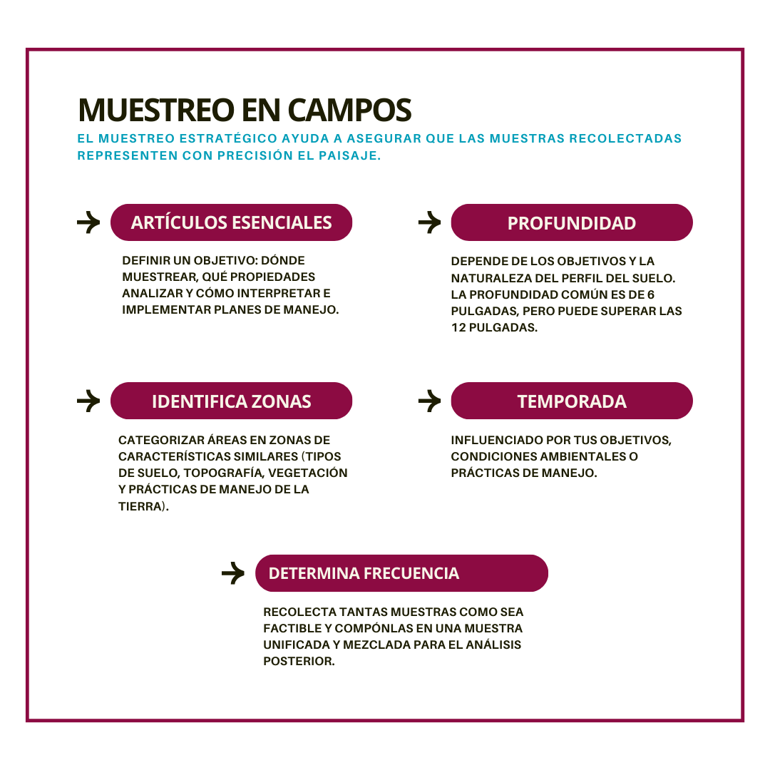 From essential tools to effective sampling strategies, this guide equips land managers with the knowledge needed for informed decision-making and #sustainable practices.

👉 pubs.nmsu.edu/_b/B830/index.…

#NMSU #NMSUExtension #NewMexico #NM #Agriculture