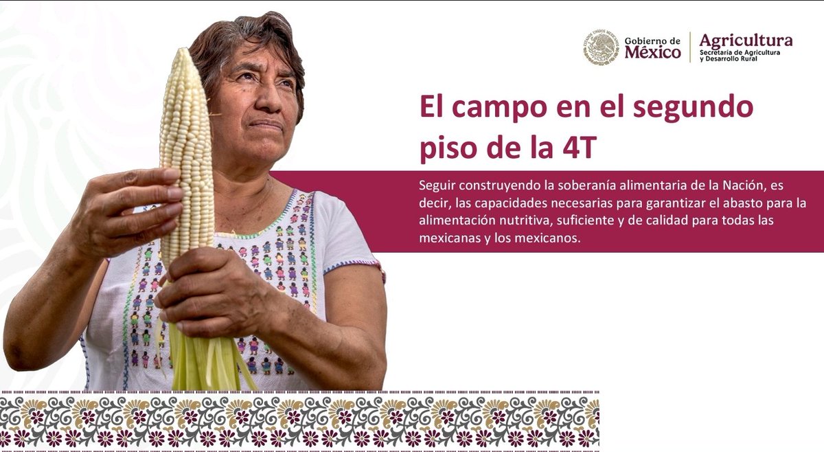 El campo mexicano está muy presente en la Cuarta Transformación, esto quiere decir que el país tenga todas condiciones necesarias para el acceso a la alimentación y el bienestar de las personas que producen los alimentos. Todo eso significa soberanía alimentaria.