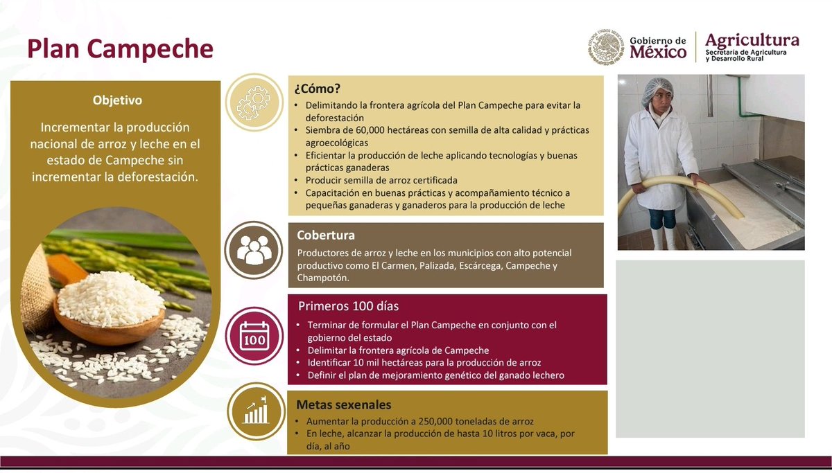 El #PlanCampeche se implementará  para incrementar la producción nacional de arroz y leche en dicho estado y muy, muy importante: tendrá que ser sin incrementar la deforestación.