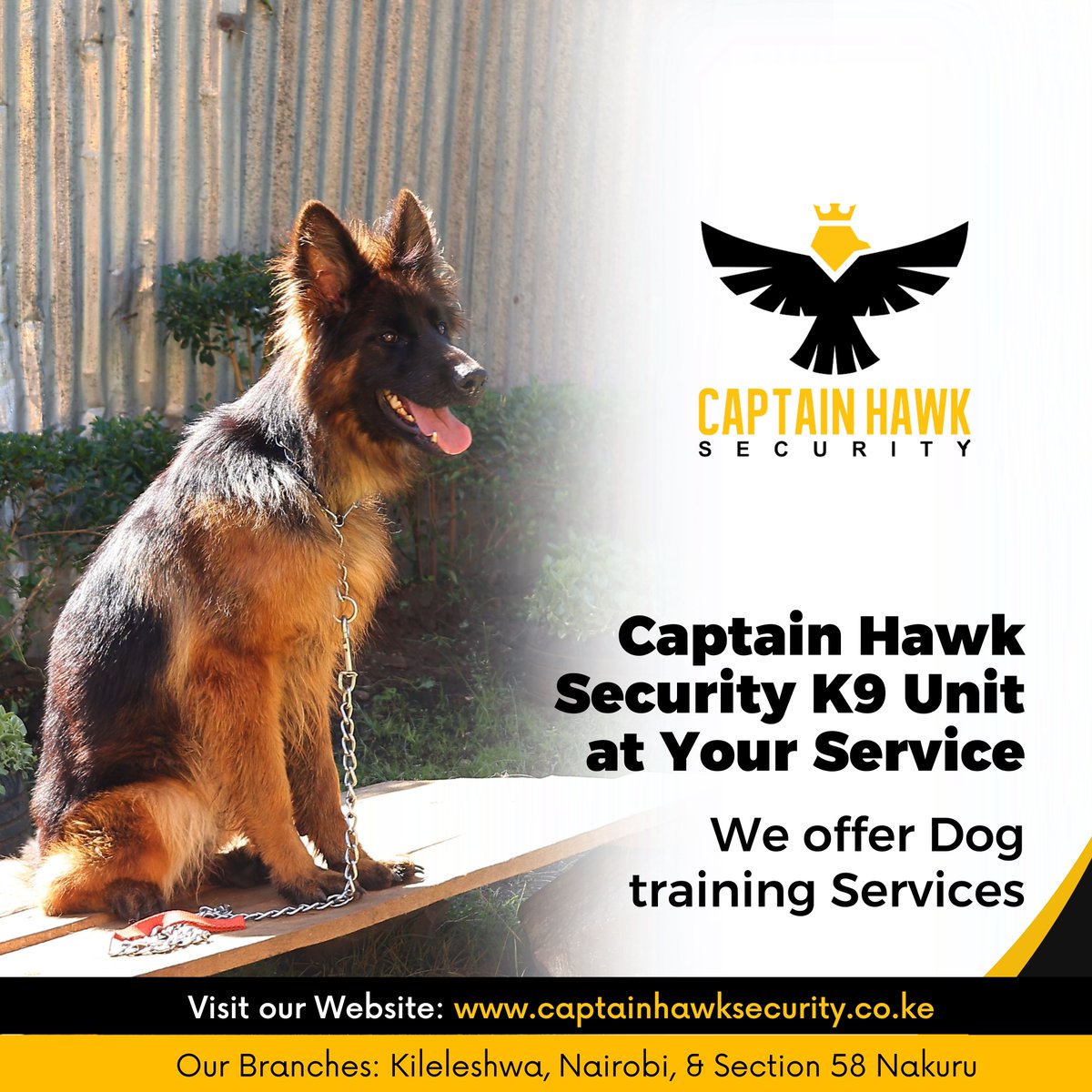 CaptainHawkSec1's tweet image. Need protection? We have trained security dogs ready to keep your home and family safe!
#security #securitydogs #SecuritySolutionsProvider #ProtectionDogs #captainhawksecurity