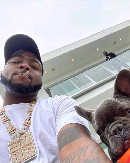 this dog chop life pass Wizkid papa just retweet make I follow you