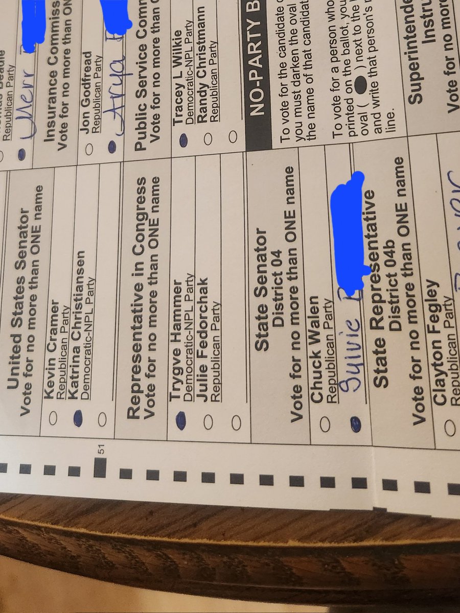 When I say I will never vote for a Republican I mean it. My cats are chuffed at being wrote in!