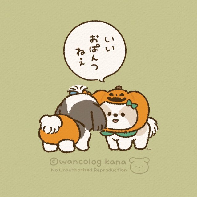 かわいいんだよ～🐶