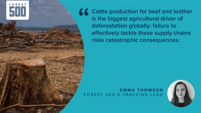 📢<a href="/ethomson184/">Emma Thomson</a> speaks to <a href="/Global_Witness/">Global Witness</a> as part of their investigation into two Paraguayan meatpacking companies and their impact on #deforestation in Paraguay's Gran Chaco.

Read the investigation here -&gt; globalwitness.org/en/campaigns/f…