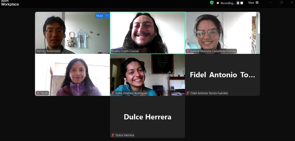 Este fin de semana terminamos el curso de Ecología y Evolución de Polinizadores. Fue una gran experiencia y estamos segurxs de que las estudiantes pudieron aprender mucho. Les agradecemos profundamente al Dr. Jiichiro Yoshimoto y a la MSc. Ana Isabel García por su conocimiento 💚
