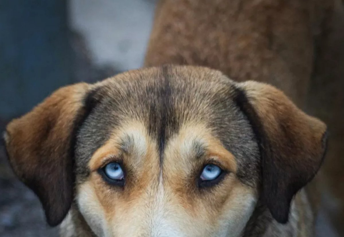 'Ohlala', dat roepen Fransen bij kleine missers. Maar wat zegt een Fransman als hij een grote sociale blunder of een knoeperd van een werkfout maakt? 10 klassieke én moderne Franse spijtbetuigingen op bit.ly/10x-sorry
#fransetaal