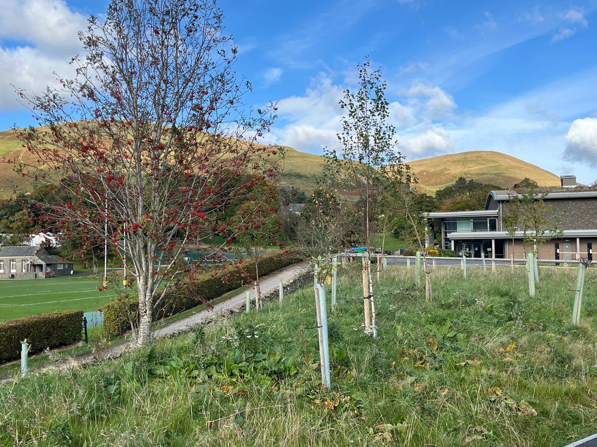 John Bennett tweet media