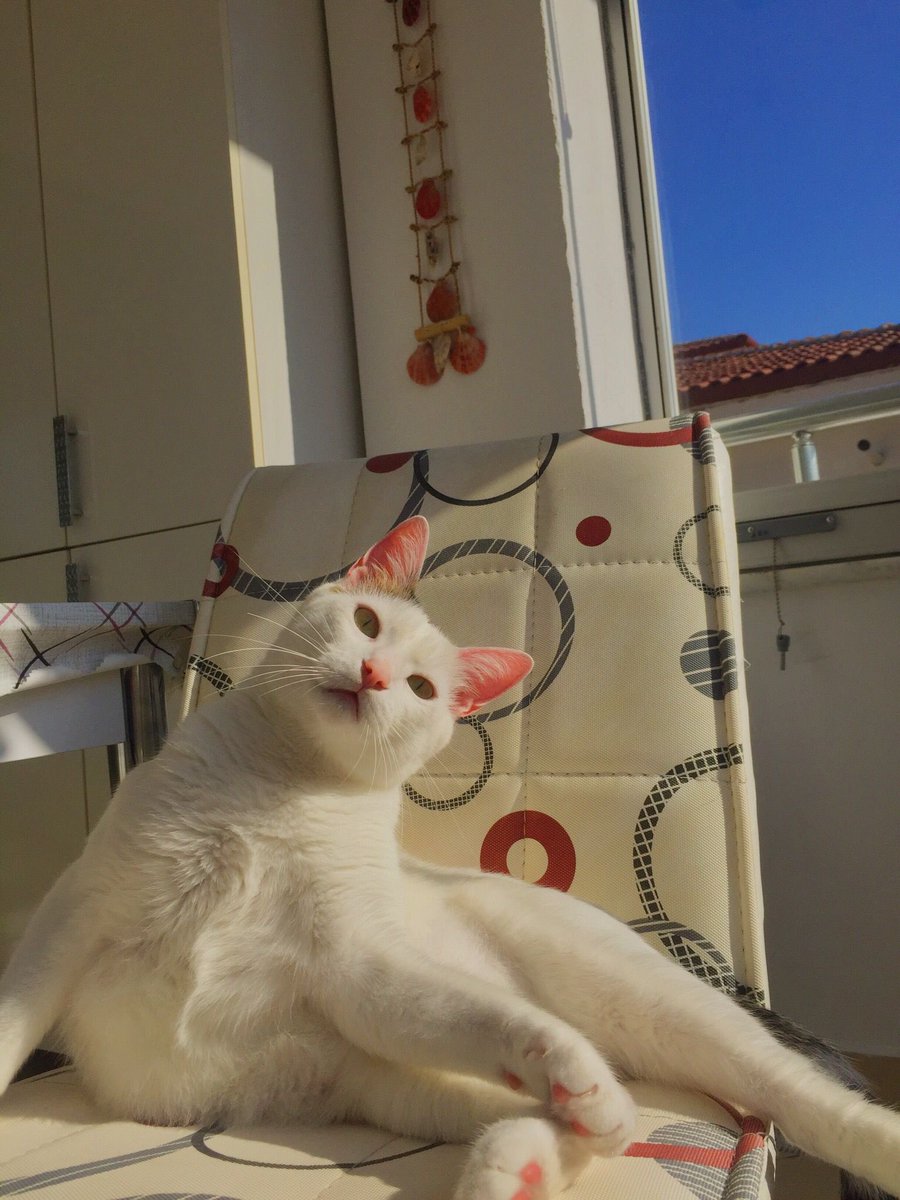 bengisuunall's tweet photo. bu da benim ballı lokumummmmmmmm😍😍 https://t.co/fWSu6MK7zy