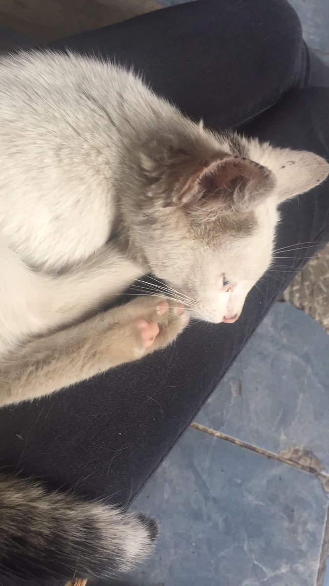 bengisuunall's tweet photo. bu da benim ballı lokumummmmmmmm😍😍 https://t.co/fWSu6MK7zy