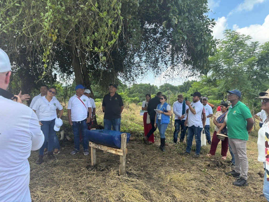 MisionONUCol's tweet photo. En Montes de María, #Sucre acompañamos presentación de modelo de ganadería sostenible de cooperativa Coomaría, con apoyo de @WeEffectLA y Agrosavia. Busca implementar prácticas regenerativas amigables con el ambiente, para desarrollo sostenible de comunidades y firmantes de paz. https://t.co/DY0sKe13Tf