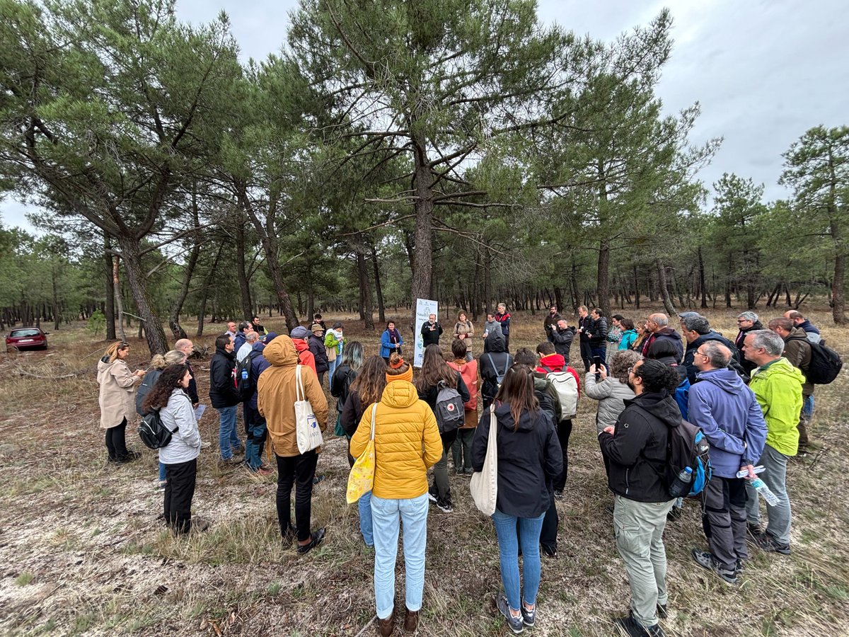 Small4Good's tweet photo. 🌲 In #Palencia, Spain, we met with forest owners, explored multifunctional management, and toured wood-product factories! 🌍
Partners from 🇪🇸🇩🇪🇳🇴🇷🇴🇪🇺 shared updates, and we teamed up with @smurfproject for future collaborations.
Stay tuned: https://t.co/ysQRGBLw1R
#Small4Good https://t.co/9CIxjambAm