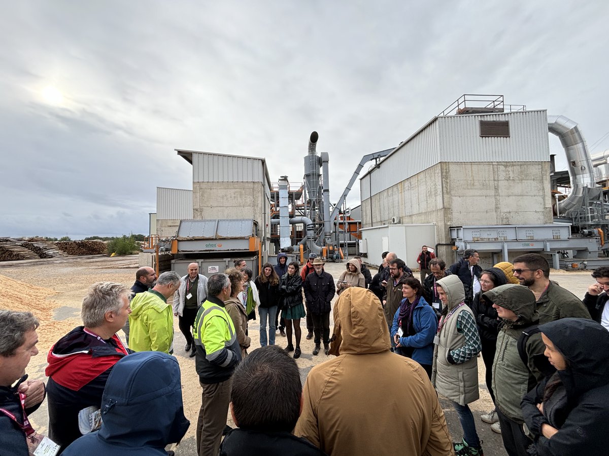 Small4Good's tweet photo. 🌲 In #Palencia, Spain, we met with forest owners, explored multifunctional management, and toured wood-product factories! 🌍
Partners from 🇪🇸🇩🇪🇳🇴🇷🇴🇪🇺 shared updates, and we teamed up with @smurfproject for future collaborations.
Stay tuned: https://t.co/ysQRGBLw1R
#Small4Good https://t.co/9CIxjambAm