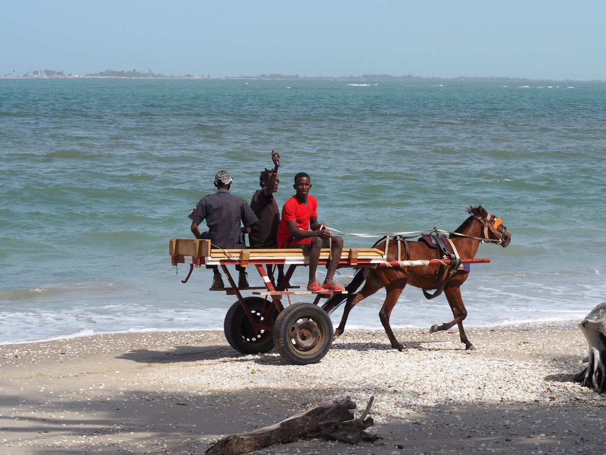 Fonds français pour l'environnement mondial (FFEM) tweet media