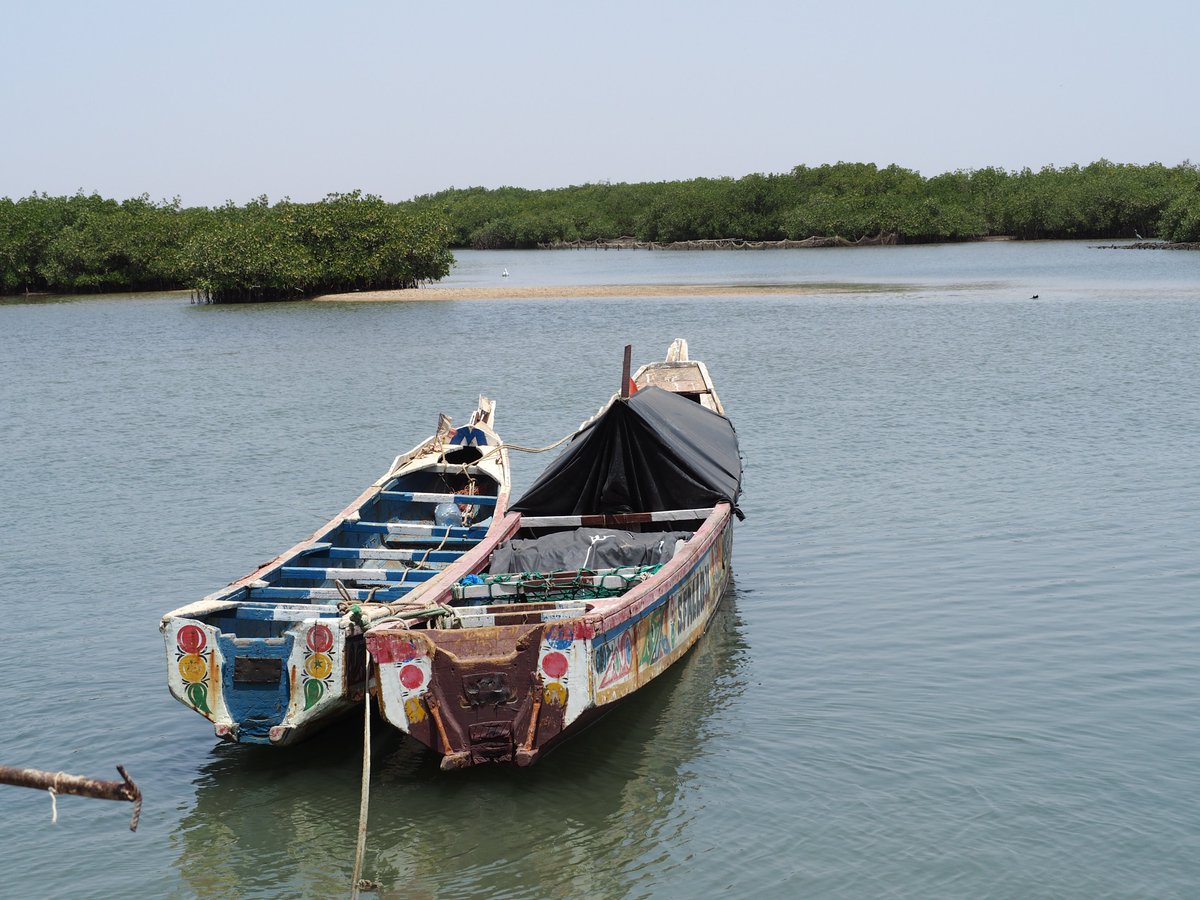 Fonds français pour l'environnement mondial (FFEM) (@ffem_fr) on Twitter photo #COP16 The #seascapes of the future require nature based solutions #NbS and the #blueeconomy! <a href="/FFEM_Fr/">Fonds français pour l'environnement mondial (FFEM)</a> with <a href="/IUCN/">IUCN</a> is supporting the Great Blue Wall to restore #marine #ecosystems, protect #biodiversity and strengthen #climate #Resilience
📆bit.ly/3UljOQj #COP16 The #seascapes of the future require nature based solutions #NbS and the #blueeconomy! <a href="/FFEM_Fr/">Fonds français pour l'environnement mondial (FFEM)</a> with <a href="/IUCN/">IUCN</a> is supporting the Great Blue Wall to restore #marine #ecosystems, protect #biodiversity and strengthen #climate #Resilience
📆bit.ly/3UljOQj