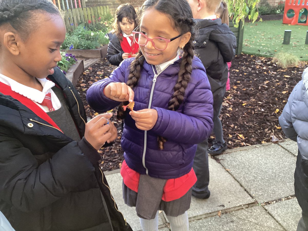 St Finbar's Year 2 Poppy Class tweet media