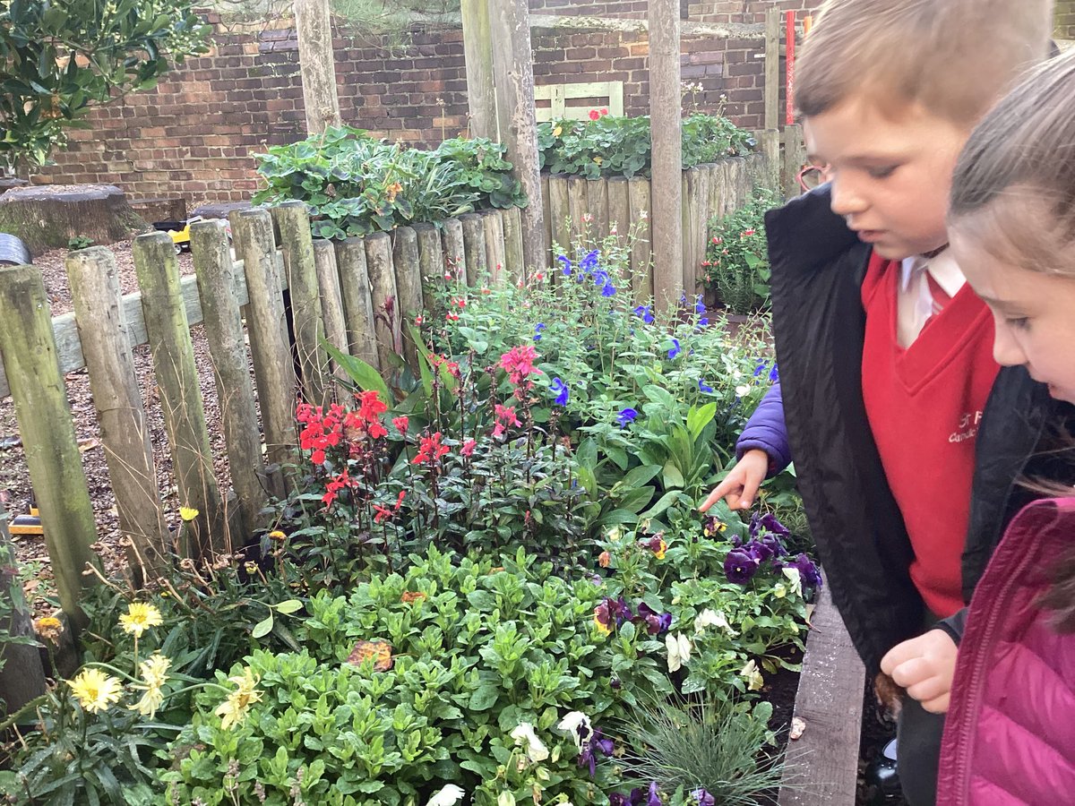 St Finbar's Year 2 Poppy Class tweet media