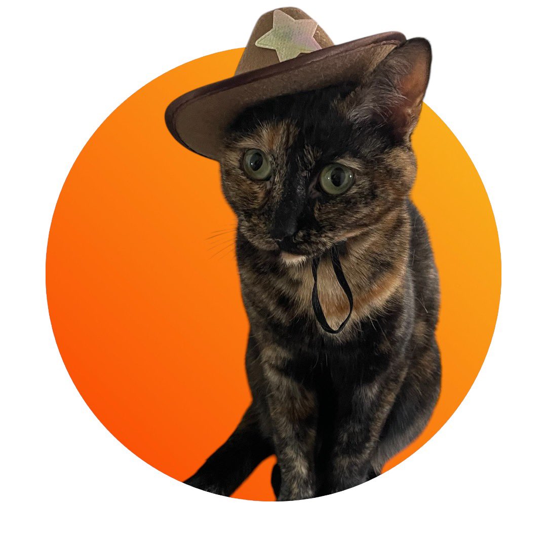 Anyways, here’s a palate cleanser of my cat saying Meowdy partner.