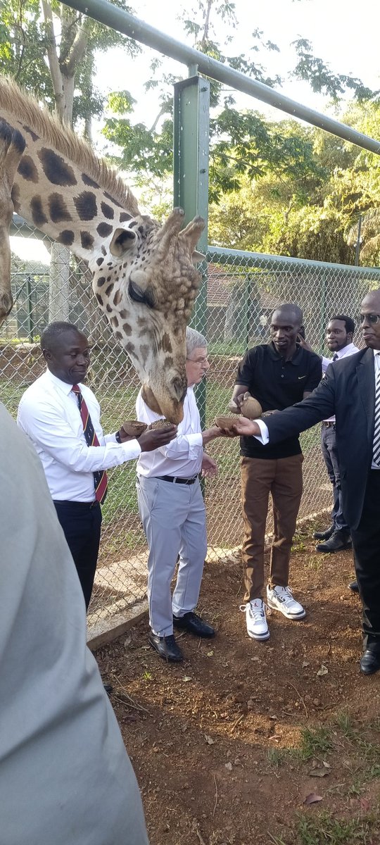 UWEC (@uwec_entebbezoo) on Twitter photo Happening: The President of the International Olympic Committee (IOC), Thomas Bach, is <a href="/UWEC_EntebbeZoo/">UWEC</a>, accompanied by the Minister of State for Sports,<a href="/OgwangOgwang/">Peter Ogwang</a>, representatives from <a href="/NCSUganda1/">National Council of Sports -Uganda</a>,<a href="/UgandaOlympics/">UGANDA OLYMPICS</a> & <a href="/Olympics/">The Olympic Games</a> champion <a href="/joshuacheptege1/">Joshua Cheptegei 🇺🇬🇺🇬 🥇🥇</a>. Happening: The President of the International Olympic Committee (IOC), Thomas Bach, is <a href="/UWEC_EntebbeZoo/">UWEC</a>, accompanied by the Minister of State for Sports,<a href="/OgwangOgwang/">Peter Ogwang</a>, representatives from <a href="/NCSUganda1/">National Council of Sports -Uganda</a>,<a href="/UgandaOlympics/">UGANDA OLYMPICS</a> & <a href="/Olympics/">The Olympic Games</a> champion <a href="/joshuacheptege1/">Joshua Cheptegei 🇺🇬🇺🇬 🥇🥇</a>.
