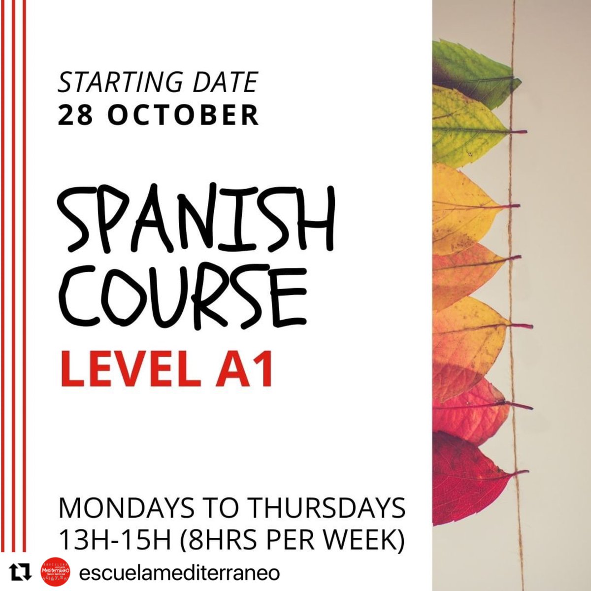 TANDEMSchools's tweet photo. #Spanish in #Barcelona https://t.co/3rwFbZ27bb