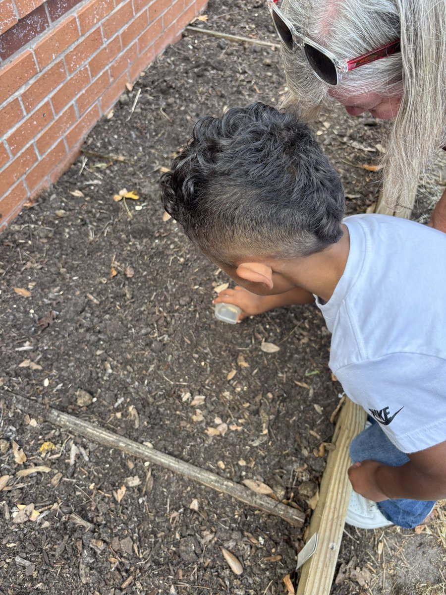 Kaleigh Murski (@missmurski) on Twitter photo Thank you OFE Growers for helping us plant radish seeds! We are excited to watch them grow!🌱 <a href="/HumbleISD_OFE/">Oak Forest Elementary</a> <a href="/Humble_Science/">Humble ISD Elementary Science</a> #AllMeansAll Thank you OFE Growers for helping us plant radish seeds! We are excited to watch them grow!🌱 <a href="/HumbleISD_OFE/">Oak Forest Elementary</a> <a href="/Humble_Science/">Humble ISD Elementary Science</a> #AllMeansAll