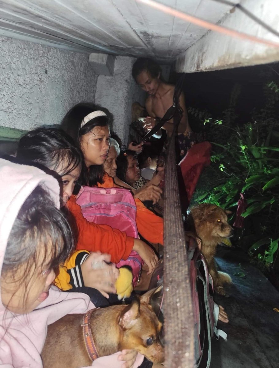 help help !! pls rescue this people :((
#KristinePH